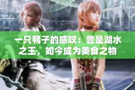 一只鸭子的感叹：曾是湖水之王，如今成为美食之物