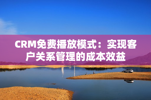 CRM免费播放模式：实现客户关系管理的成本效益