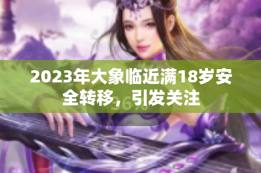 2023年大象临近满18岁安全转移，引发关注