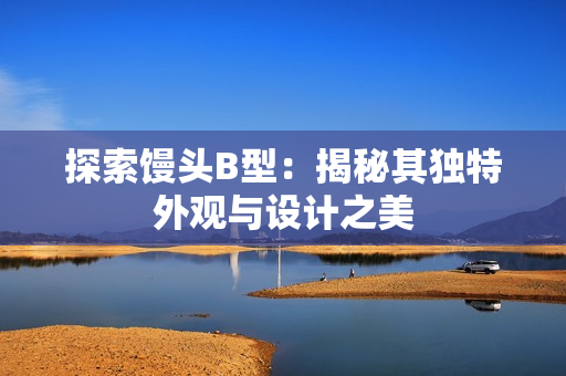 探索馒头B型：揭秘其独特外观与设计之美