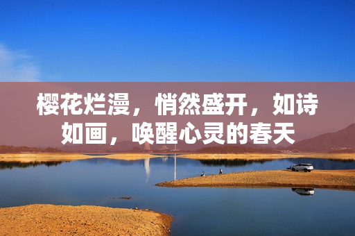 樱花烂漫，悄然盛开，如诗如画，唤醒心灵的春天
