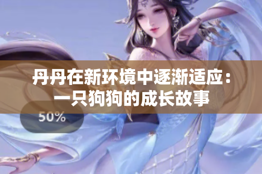 丹丹在新环境中逐渐适应：一只狗狗的成长故事