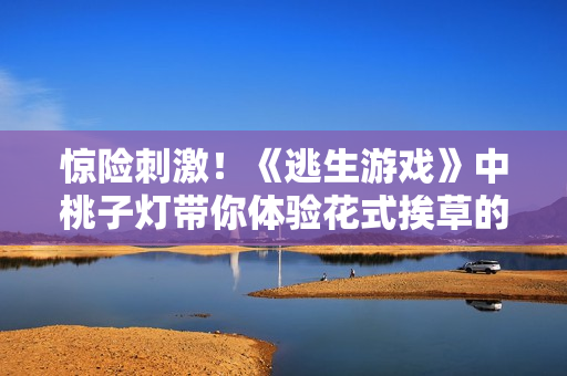 惊险刺激！《逃生游戏》中桃子灯带你体验花式挨草的刺激冒险