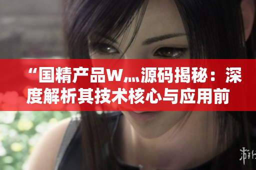 “国精产品W灬源码揭秘：深度解析其技术核心与应用前景”