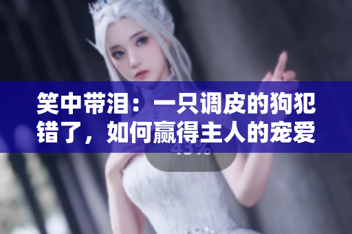 笑中带泪：一只调皮的狗犯错了，如何赢得主人的宠爱与原谅