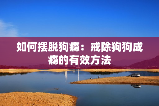如何摆脱狗瘾：戒除狗狗成瘾的有效方法