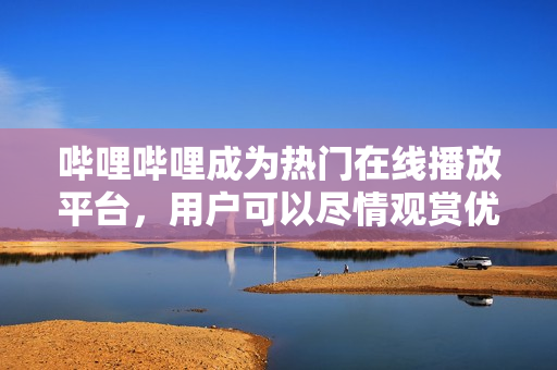 哔哩哔哩成为热门在线播放平台，用户可以尽情观赏优质视频