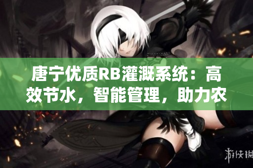 唐宁优质RB灌溉系统：高效节水，智能管理，助力农业发展