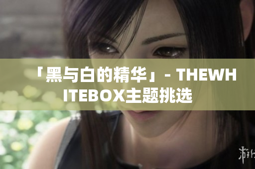 「黑与白的精华」- THEWHITEBOX主题挑选