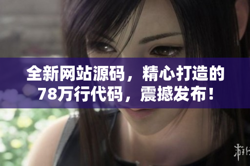 全新网站源码，精心打造的78万行代码，震撼发布！