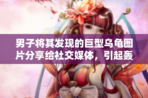 男子将其发现的巨型乌龟图片分享给社交媒体，引起轰动