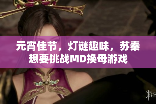 元宵佳节，灯谜趣味，苏秦想要挑战MD换母游戏