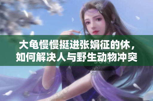 大龟慢慢挺进张娟征的休，如何解决人与野生动物冲突？