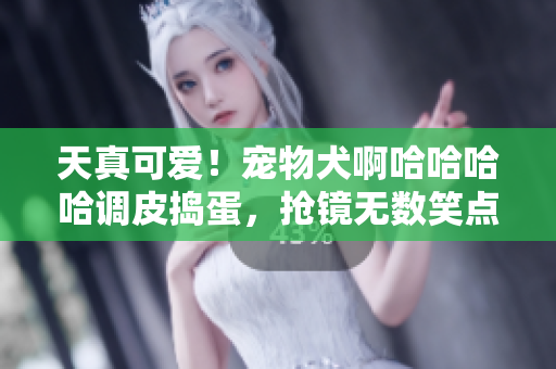 天真可爱！宠物犬啊哈哈哈哈调皮捣蛋，抢镜无数笑点！
