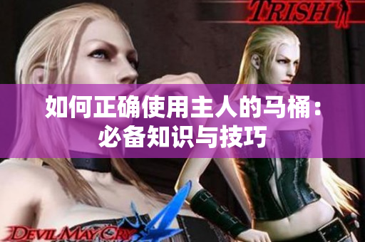 如何正确使用主人的马桶：必备知识与技巧