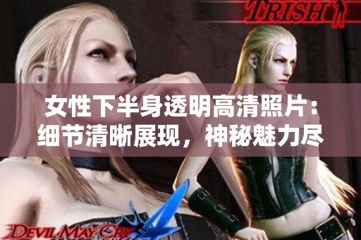女性下半身透明高清照片：细节清晰展现，神秘魅力尽显