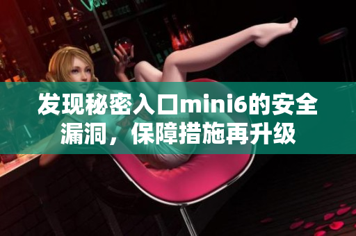 发现秘密入口mini6的安全漏洞，保障措施再升级