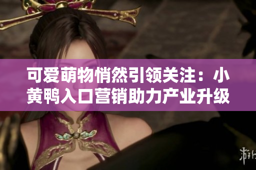 可爱萌物悄然引领关注：小黄鸭入口营销助力产业升级