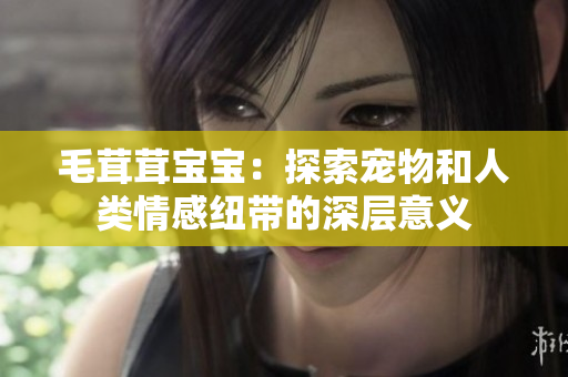 毛茸茸宝宝：探索宠物和人类情感纽带的深层意义
