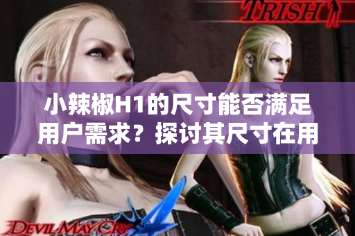 小辣椒H1的尺寸能否满足用户需求？探讨其尺寸在用户体验中的作用