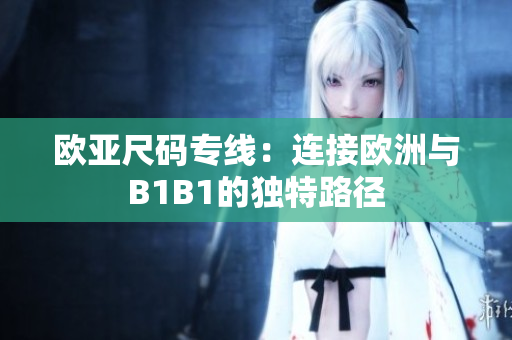 欧亚尺码专线：连接欧洲与B1B1的独特路径