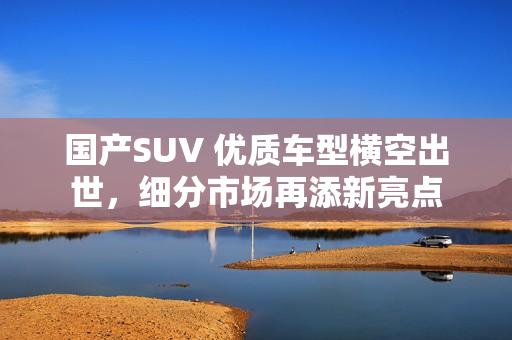 国产SUV 优质车型横空出世，细分市场再添新亮点