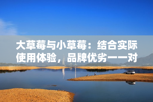 大草莓与小草莓：结合实际使用体验，品牌优劣一一对比