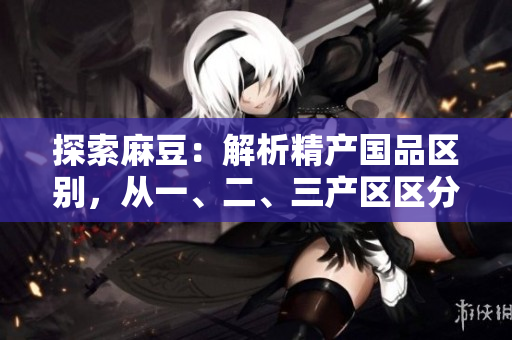 探索麻豆：解析精产国品区别，从一、二、三产区区分特色与发展前景