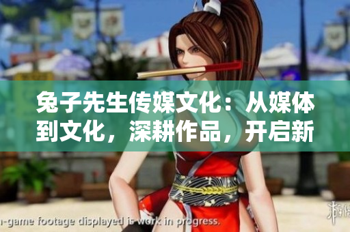 兔子先生传媒文化：从媒体到文化，深耕作品，开启新篇章