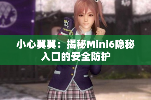 小心翼翼：揭秘Mini6隐秘入口的安全防护