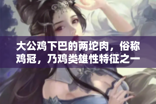 大公鸡下巴的两坨肉，俗称鸡冠，乃鸡类雄性特征之一