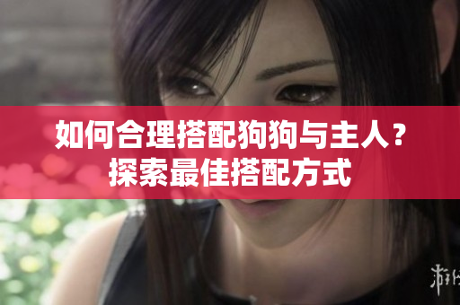 如何合理搭配狗狗与主人？探索最佳搭配方式