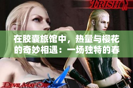 在胶囊旅馆中，热量与樱花的奇妙相遇：一场独特的春日体验