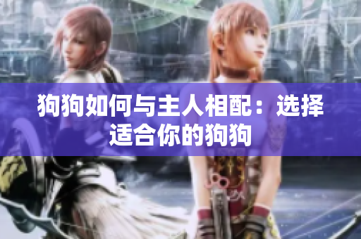 狗狗如何与主人相配：选择适合你的狗狗