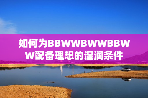 如何为BBWWBWWBBWW配备理想的湿润条件