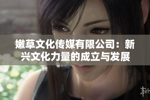 嫩草文化传媒有限公司：新兴文化力量的成立与发展