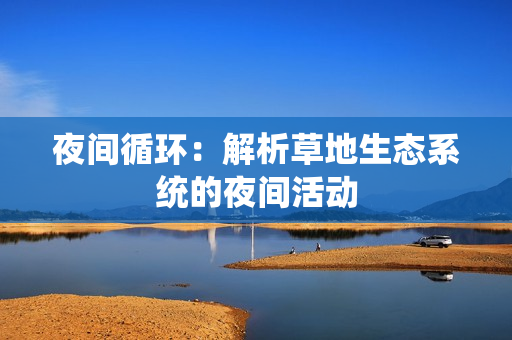 夜间循环：解析草地生态系统的夜间活动