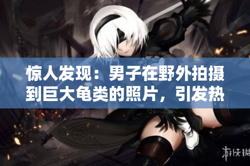 惊人发现：男子在野外拍摄到巨大龟类的照片，引发热议