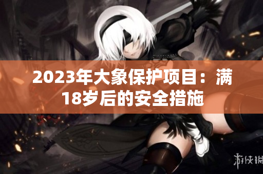 2023年大象保护项目：满18岁后的安全措施