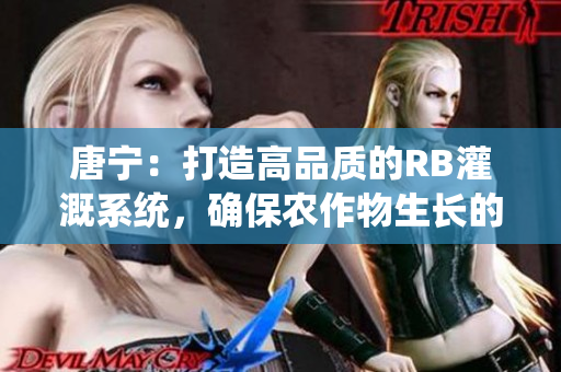 唐宁：打造高品质的RB灌溉系统，确保农作物生长的新方法