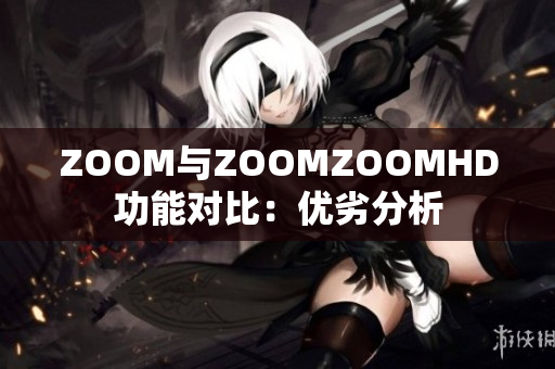 ZOOM与ZOOMZOOMHD功能对比：优劣分析