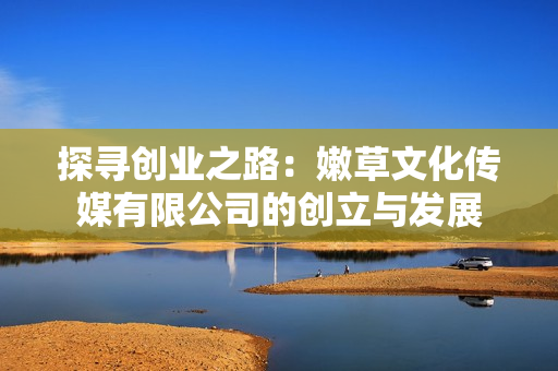 探寻创业之路：嫩草文化传媒有限公司的创立与发展