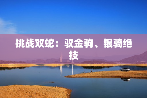 挑战双蛇：驭金驹、银骑绝技
