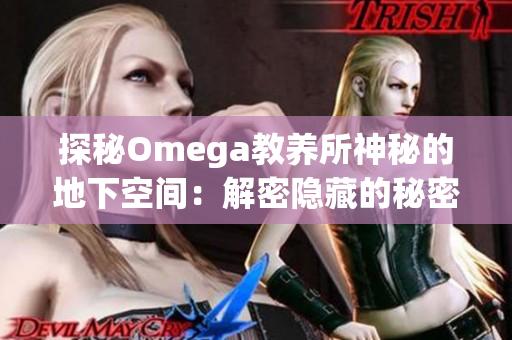 探秘Omega教养所神秘的地下空间：解密隐藏的秘密与故事