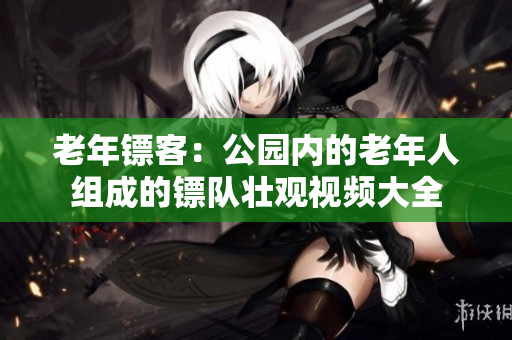 老年镖客：公园内的老年人组成的镖队壮观视频大全