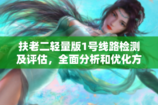扶老二轻量版1号线路检测及评估，全面分析和优化方案