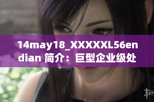 14may18_XXXXXL56endian 简介：巨型企业级处理器的背后故事