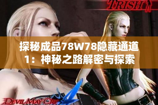 探秘成品78W78隐藏通道1：神秘之路解密与探索