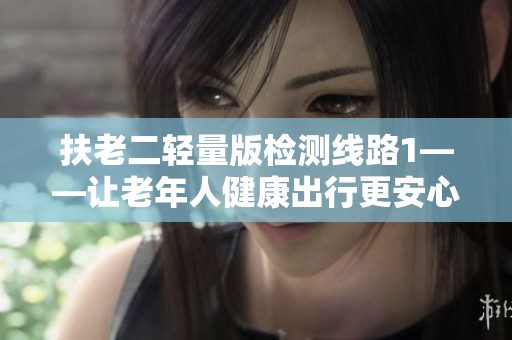 扶老二轻量版检测线路1——让老年人健康出行更安心