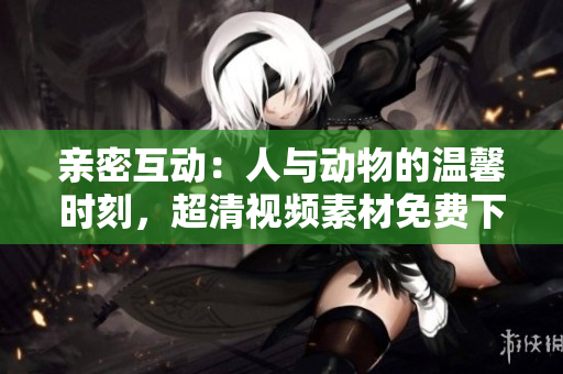 亲密互动：人与动物的温馨时刻，超清视频素材免费下载